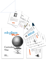 Rob Gibson - Curriculum Vitae