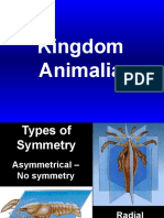 3.2 Animal Taxonomy