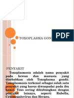 Powerpoint Toxoplasma Gondii