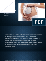 Determinación de La Edad Embrionaria Fetal