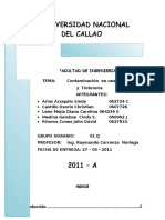 documents.mx_contaminacion-ambiental-en-una-lavanderia-tintoreria1.docx