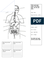 internal organs blank worksheet.doc