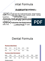 Dental Formula