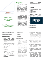Leaflet Pankreatitis A