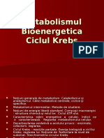 Ciclul Krebs