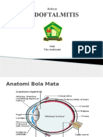 Endoftalmitis.pptx