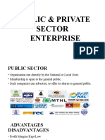 Public N Private Sector