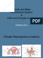 Female and Male Imaging