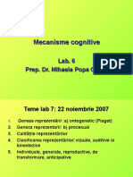 4 Lab Cog 6 7 Reprezentarea Gandirea Teme Memorie Radionament Inductiv