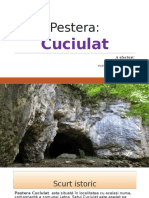 Pestera Cuciulat