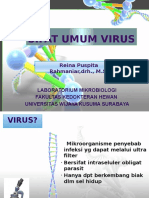 VIRUS UMUM