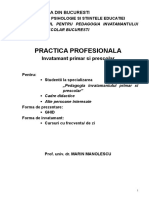 GHID Practica profesionala 2010-2011.doc