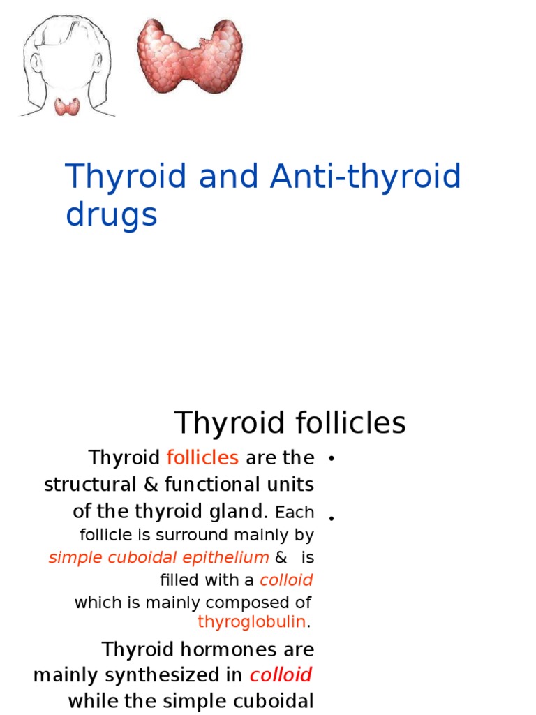 Thyroid and Antithyroid Drugs Overview | PDF | Thyroid | Hyperthyroidism