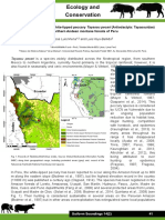 Outstanding Record of The White-Lipped Peccary Tayassu Pecari (Artiodactyla: Tayassuidae) in Northern Andean Montane Forests of Peru