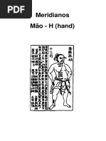 94524929 Meridianos Ryodoraku Japones (1)