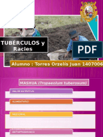 tuberculos (1)