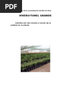Vivero tunel grande