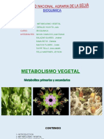 Metabolismo Vegetal Metabolitos