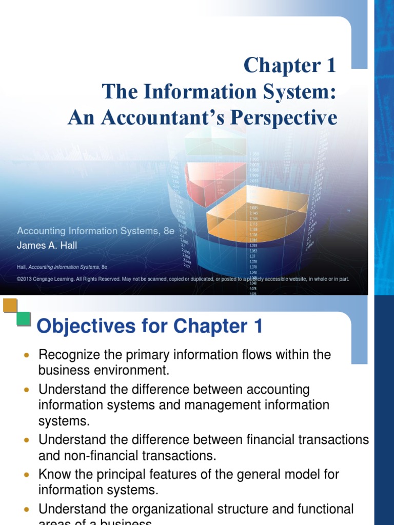 1 The Is An Accountants Perspective (Pertemuan I) James Hall | PDF ...
