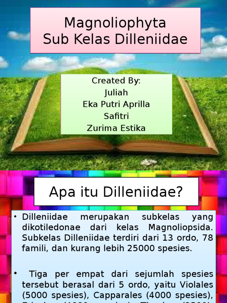 Subkelas Dilleniidae dalam Magnoliophyta | PDF | Kesehatan Holistik