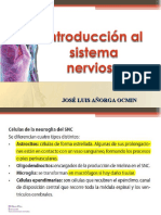 Sistema Nervioso Central - José Añorga