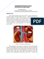 131321184-Tes-Fungsi-Ginjal-New.doc