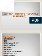 Erp (Enterprise Resource Planning)