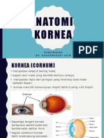 Anatomi Kornea