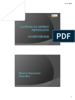 1-Sistema Reprodutor2 PDF