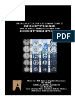 Tesis Neuroanatomy ADHD