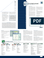 293886384-PIPEPHASE-1-pdf-pdf.pdf