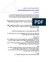 بحث تطور الجنين PDF