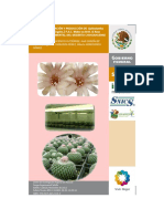 MICROPROPAGACIÓN Y PRODUCCIÓN DE Epithelantha.pdf