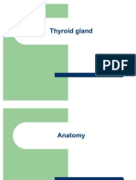 Thyroid Gland