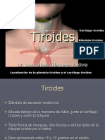 Tiroides