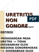Uretritis Non Gonore