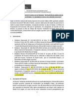 PDT Ayacucho Factibilidad
