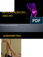 Aula prática do Joelho.pdf