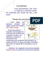 PLANTAS.pdf