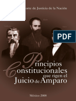 PRINCIPIOS CONSTITUCIONALES QUE RIGEN EL JUICIO DE AMPARO.pdf