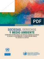 Cepal ONU Sociedad Derechos Medio Ambiente