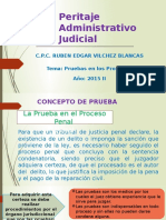 Peritaje Administrativo Judicial 6ta Parte