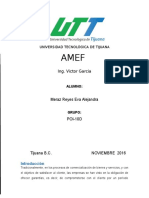 AMEF