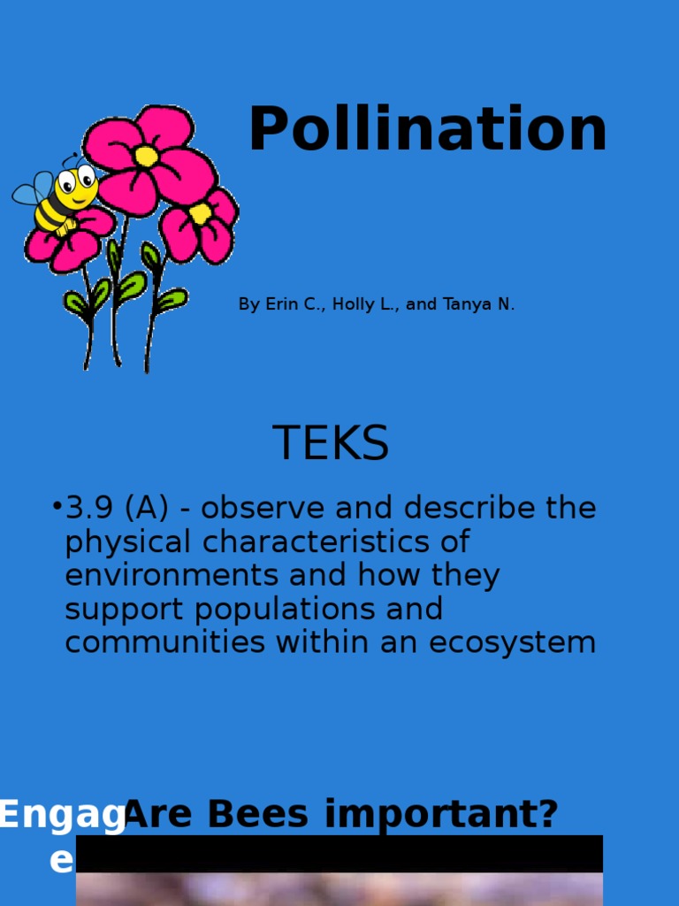 Importance of Bee Pollination | PDF | General Fiction
