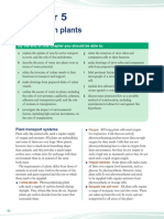 Transport in Plants PDF