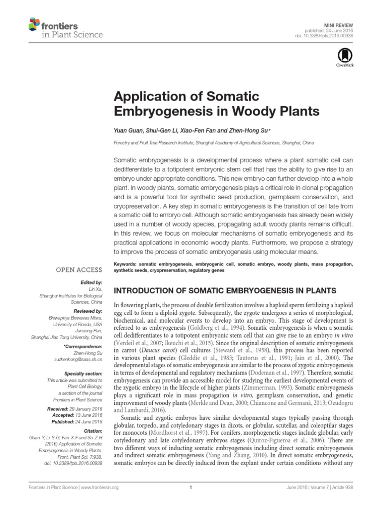 Somatic Embryogenesis PDF | PDF | Cellular Differentiation | Epigenetics