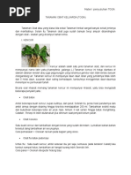  Materi Penyuluhan Obat Tradisional 