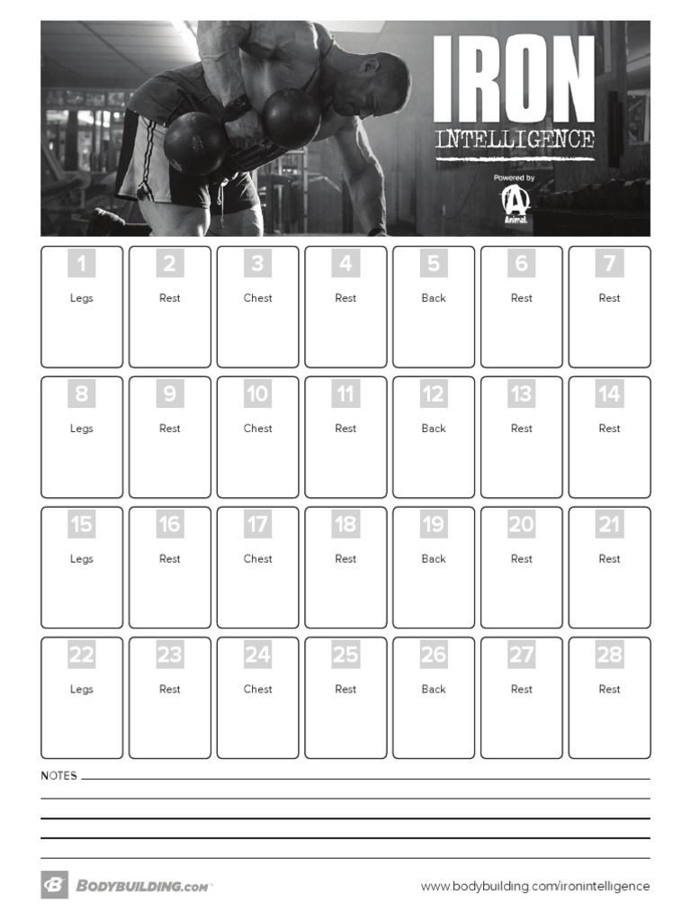 Iron Intelligence Calendar PDF