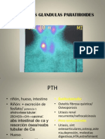 Cir+endoc+pt ppt97-2003