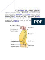Stenosis Spinal Canal Neurological Deficit Paraesthesia (1) Vertebral Canal Foramen (2) Lumbar Stenosis Cervical Stenosis Spinal Cord Cauda Equina